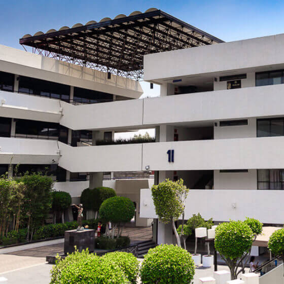 Conoce la convocatoria y postúlate para formar parte del nuevo Consejo Universitario Estudiantil